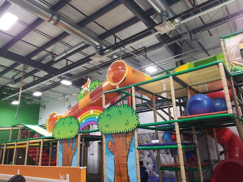 flynn-s-forest-indoor-playground