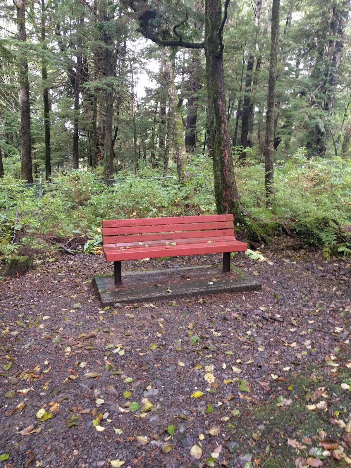alder-park-1