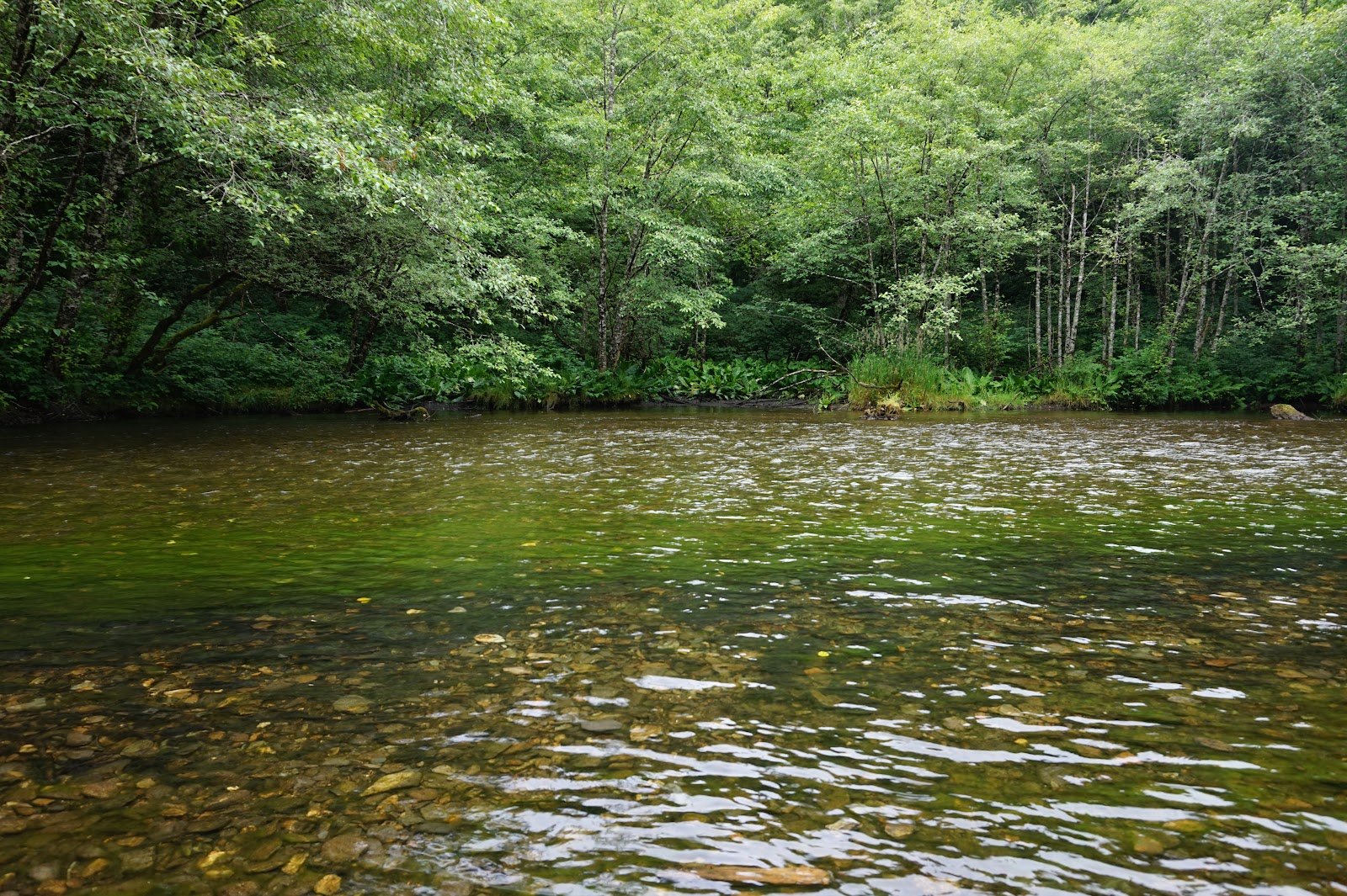 alder-park-2