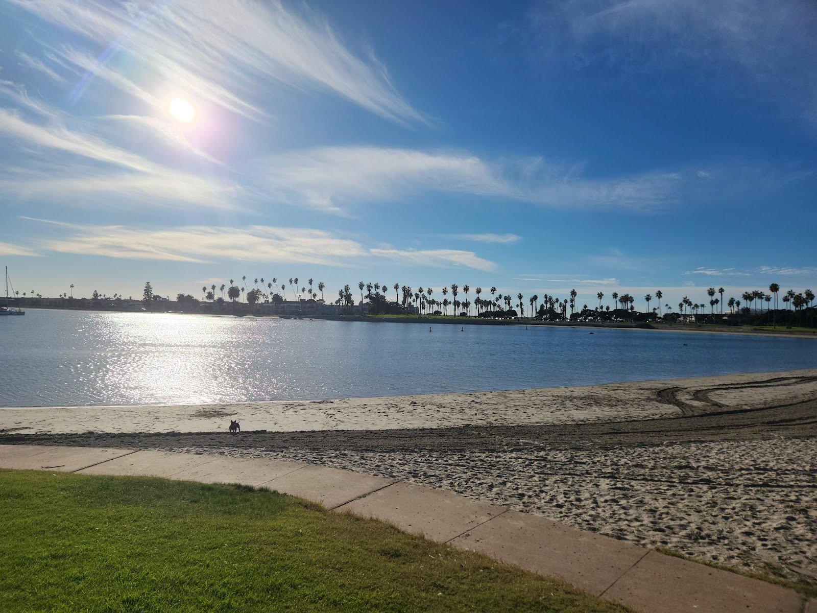 bonita-cove-1