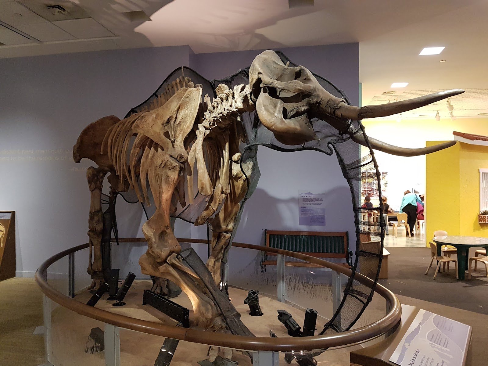 childrens-discovery-museum-of-san-jose-3