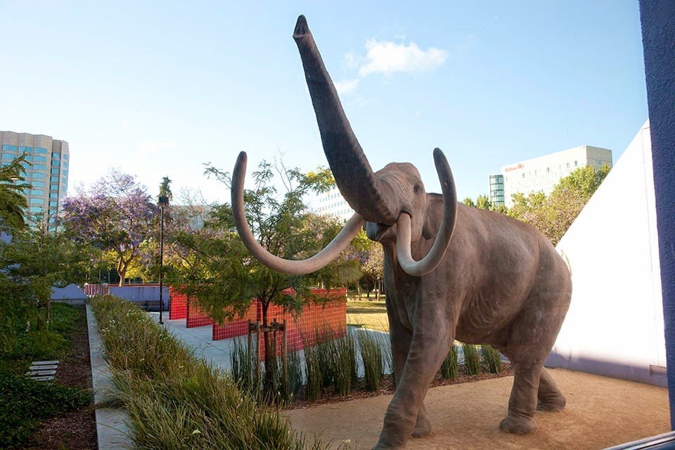 childrens-discovery-museum-of-san-jose-4