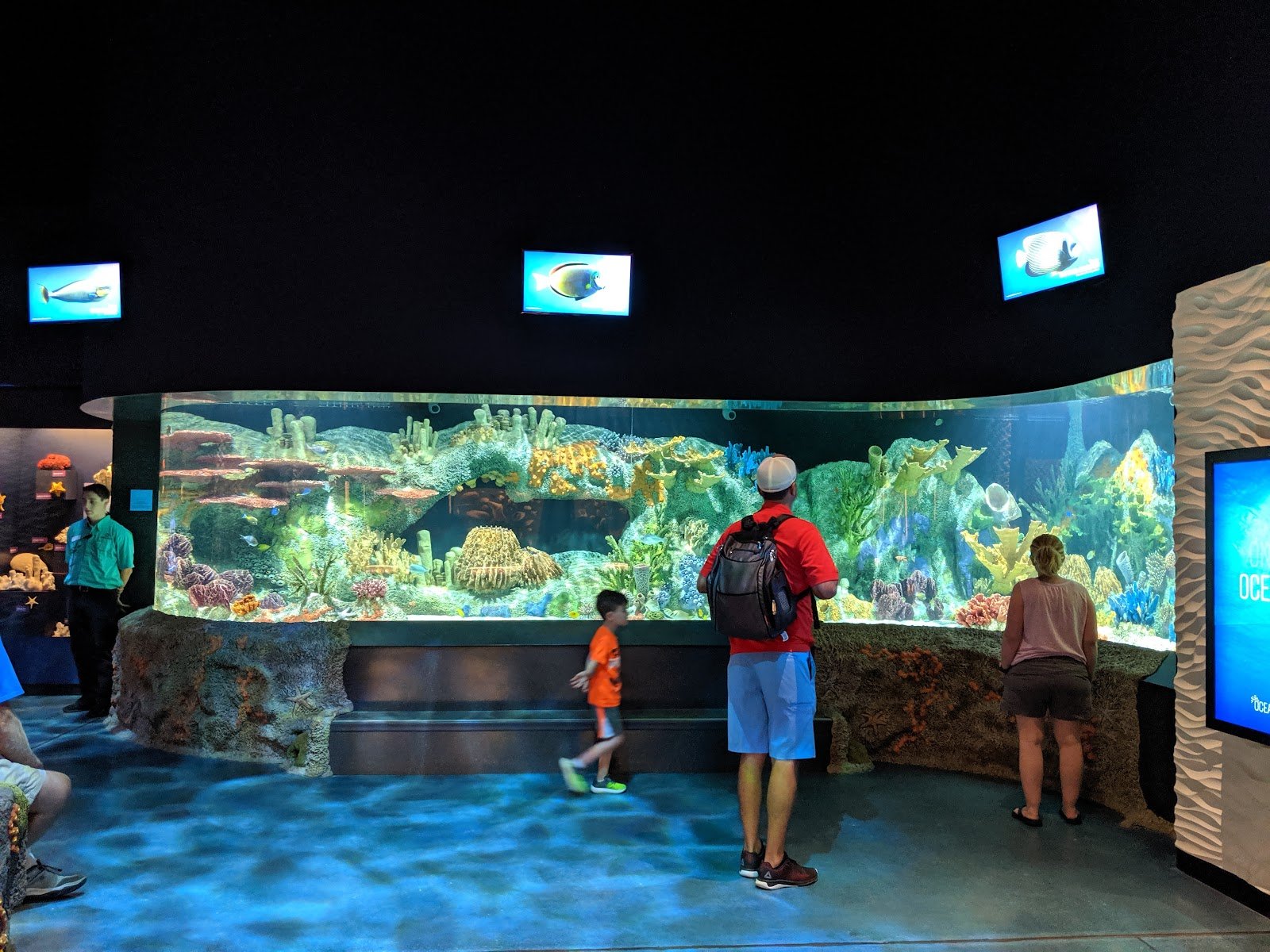 cook-museum-of-natural-science-2