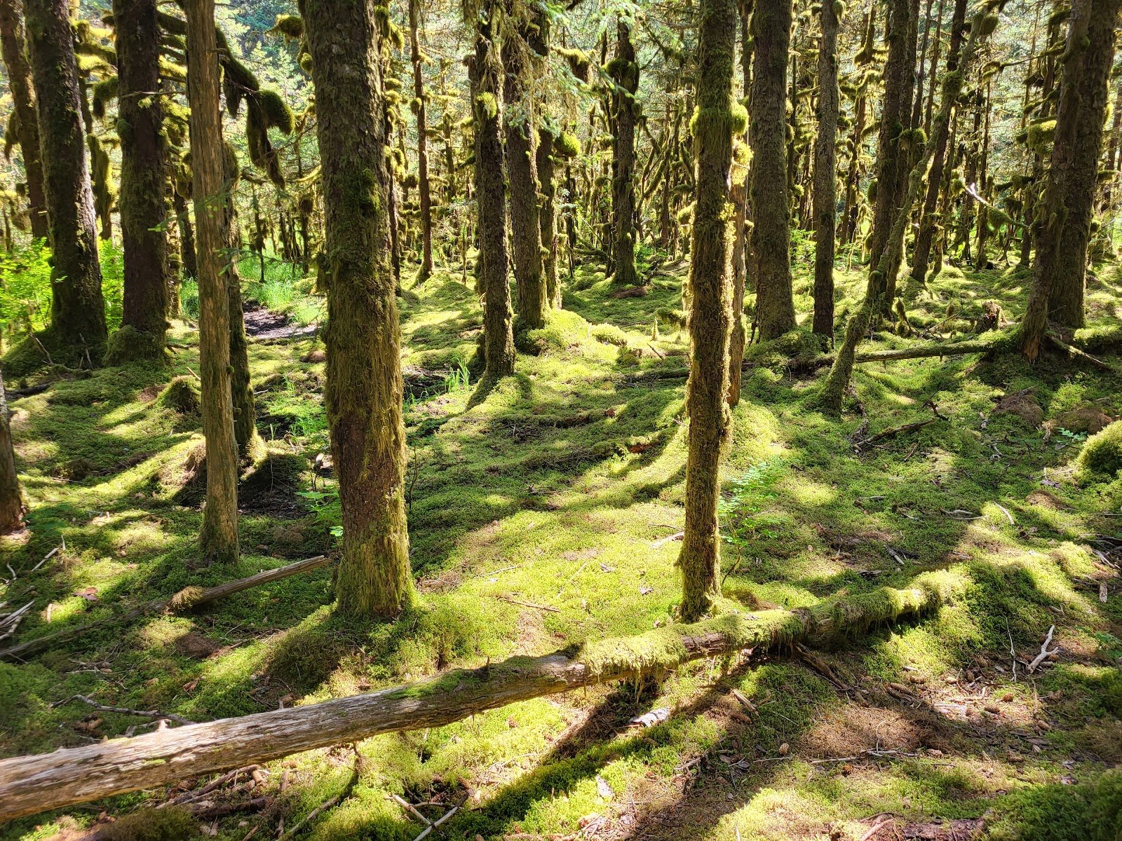 friends-of-kodiak-state-parks-2