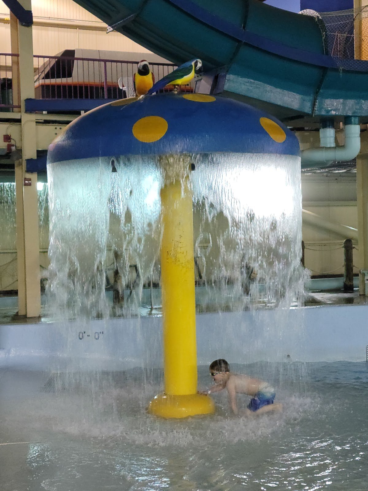 h2oasis-indoor-waterpark-4