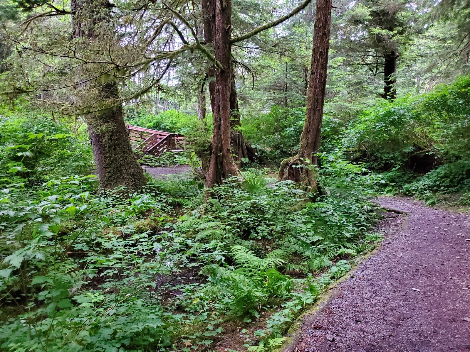 halibut-point-recreation-site-1