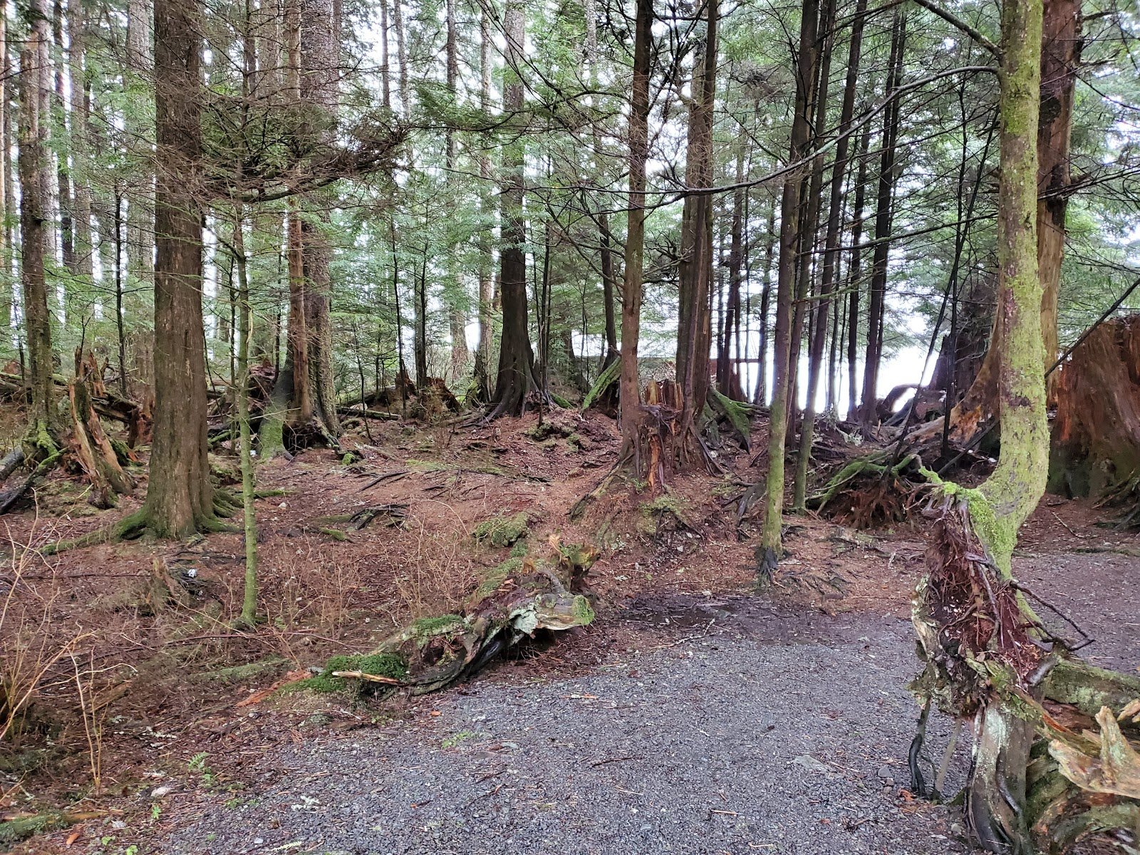 halibut-point-recreation-site-4