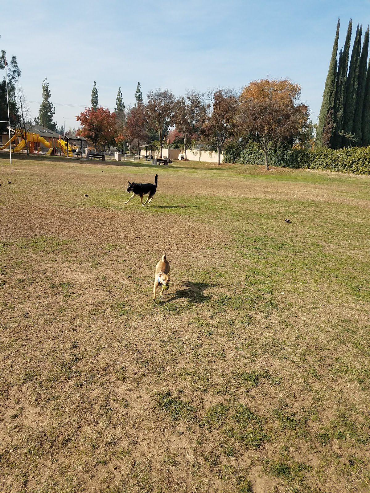 holman-park-4