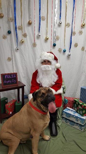 kodiak-animal-shelter-4
