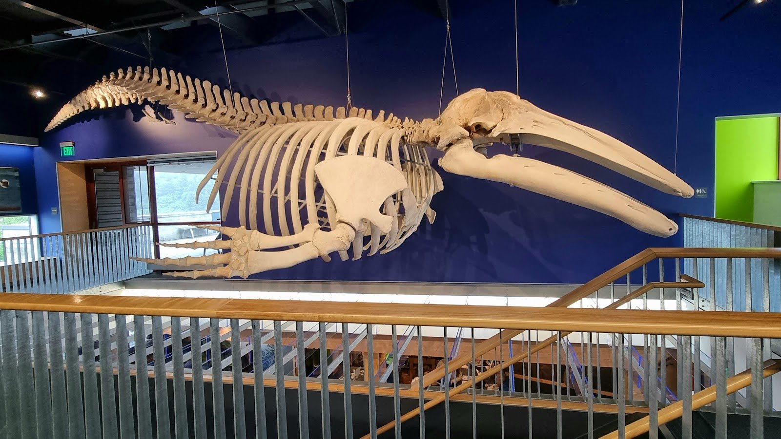 kodiak-national-wildlife-refuge-visitor-center-1