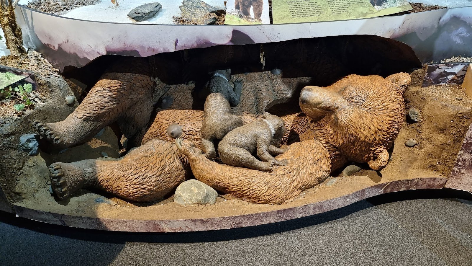kodiak-national-wildlife-refuge-visitor-center-4