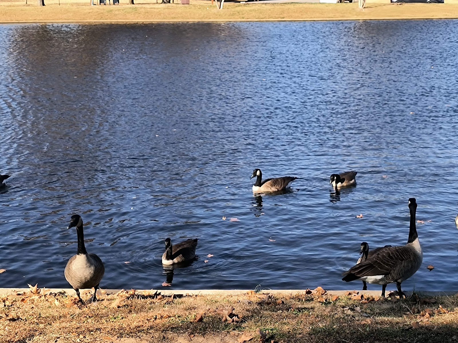 murphy-park-3