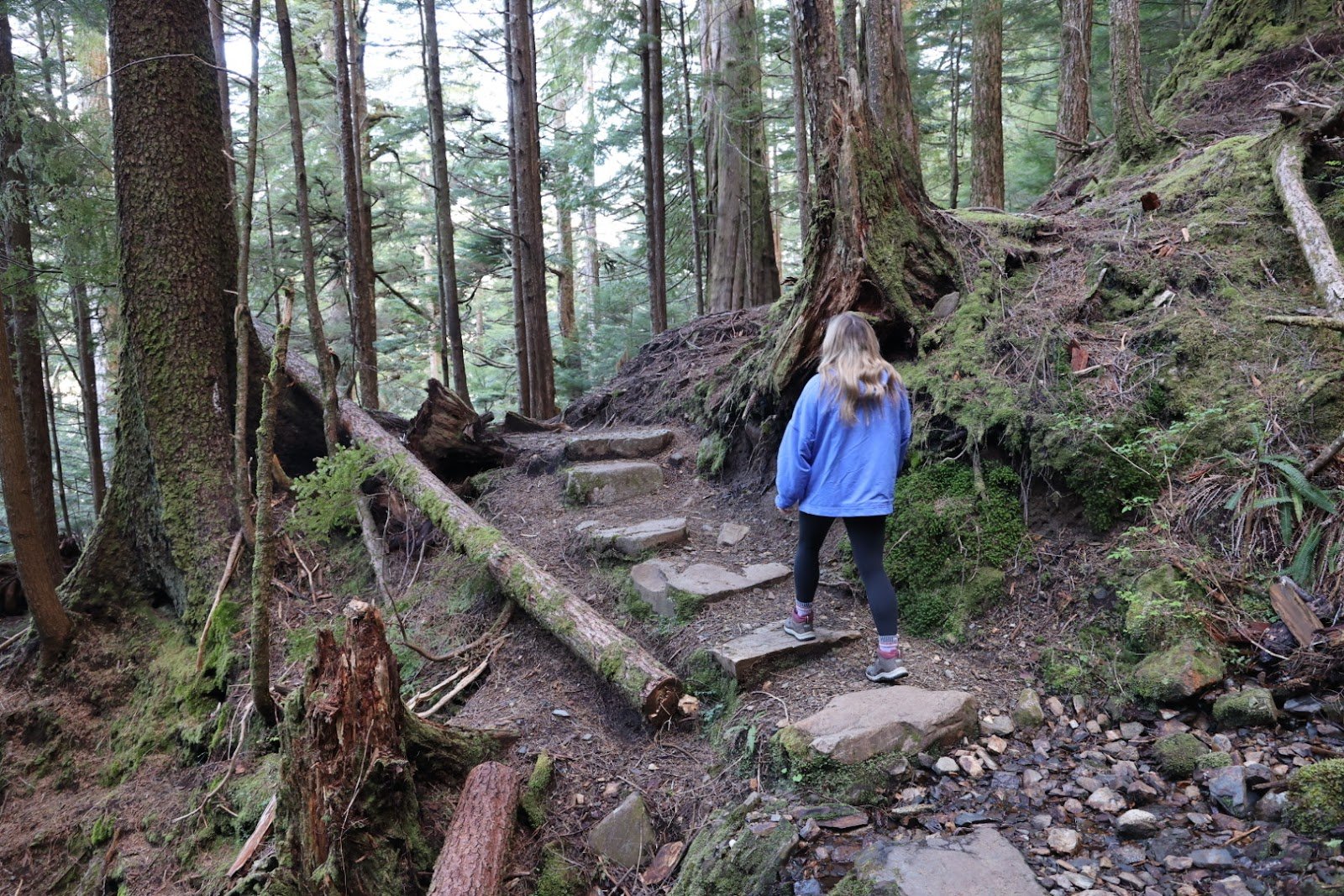 rainbird-hiking-trail-2