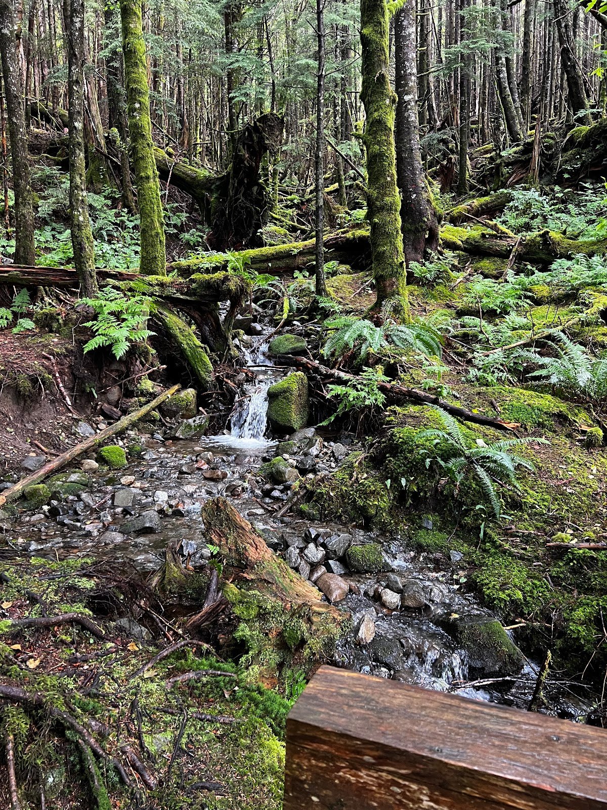 rainbird-hiking-trail-4