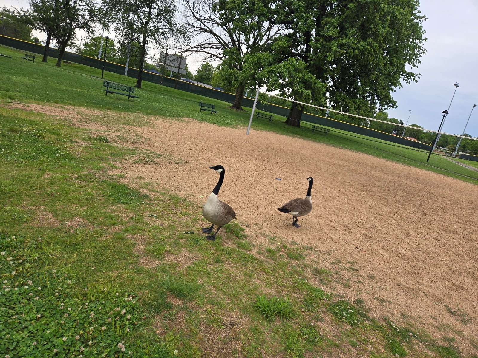rotary-park-4