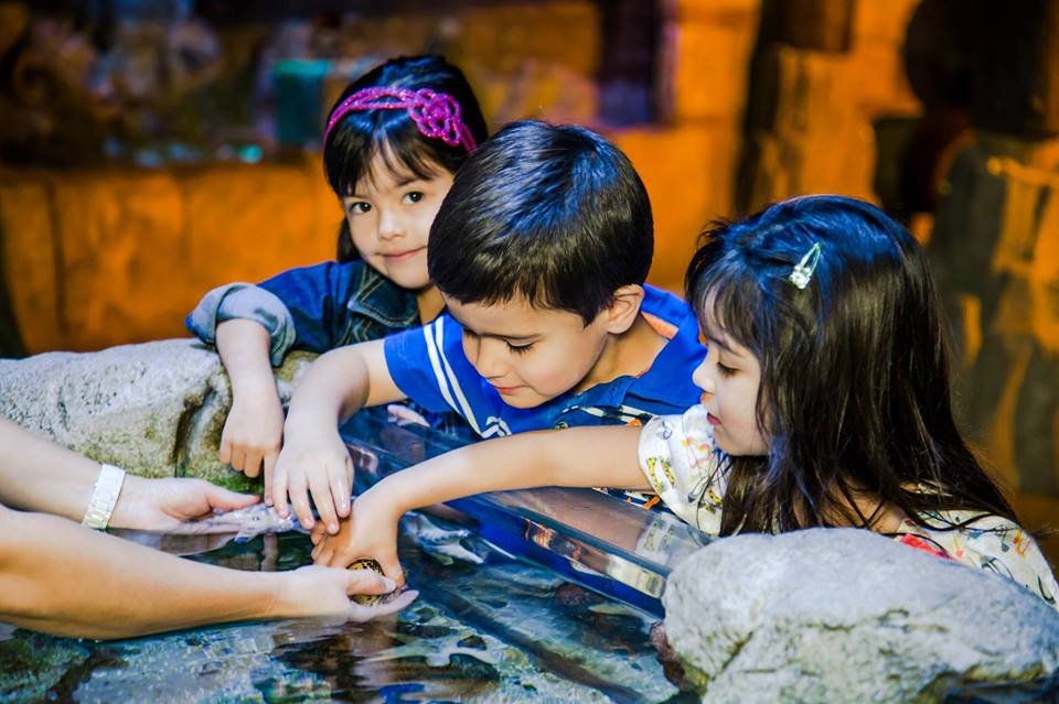 sea-life-arizona-aquarium-1