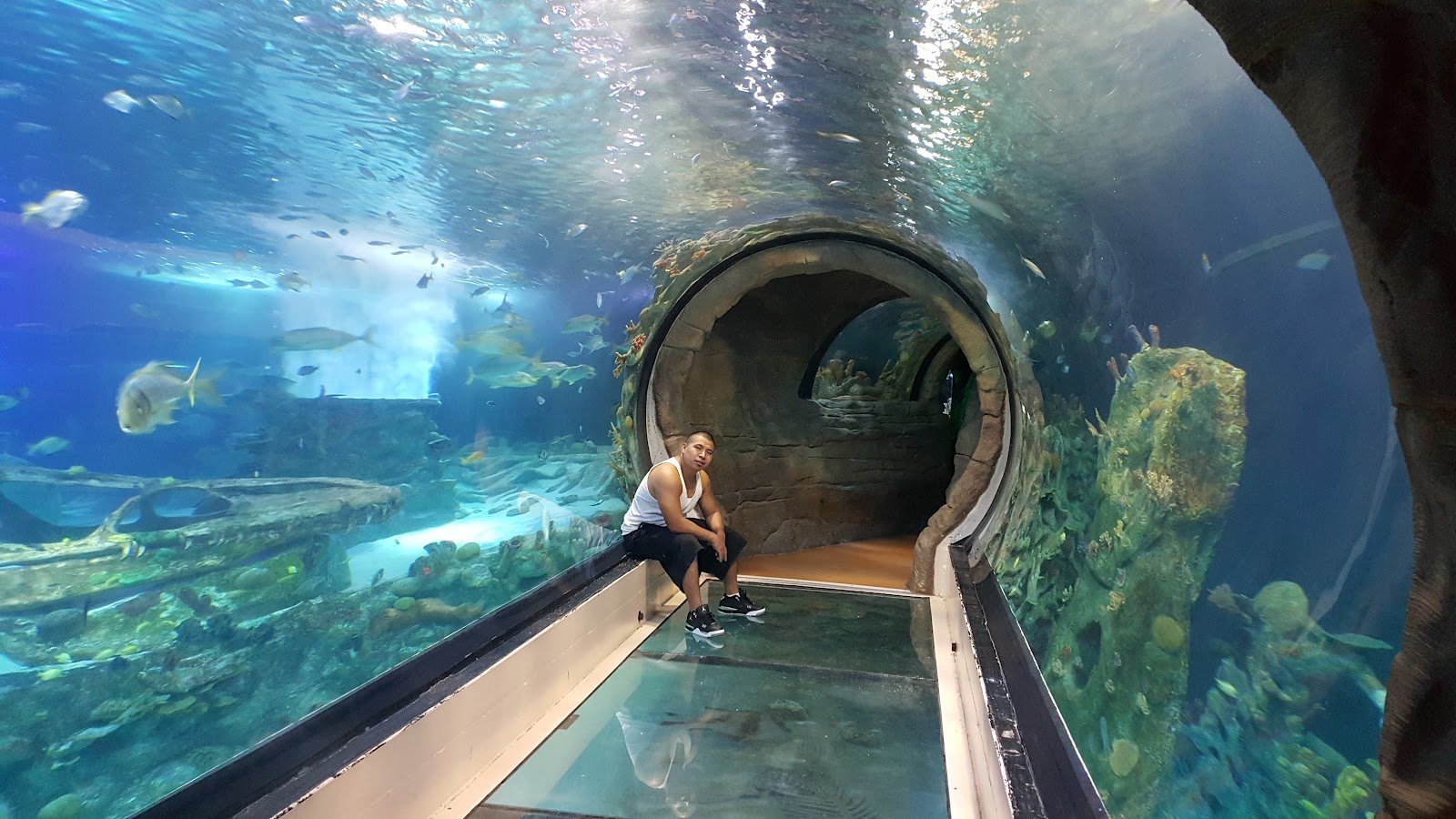 sea-life-arizona-aquarium-2