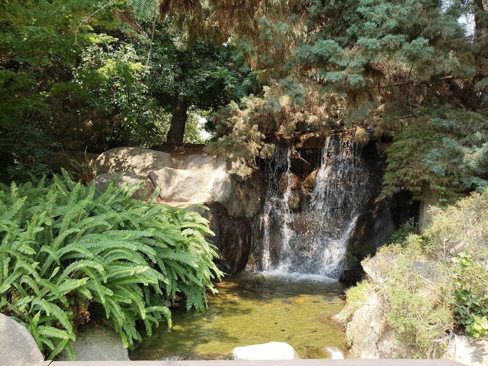 shinzen-friendship-garden-inc-3