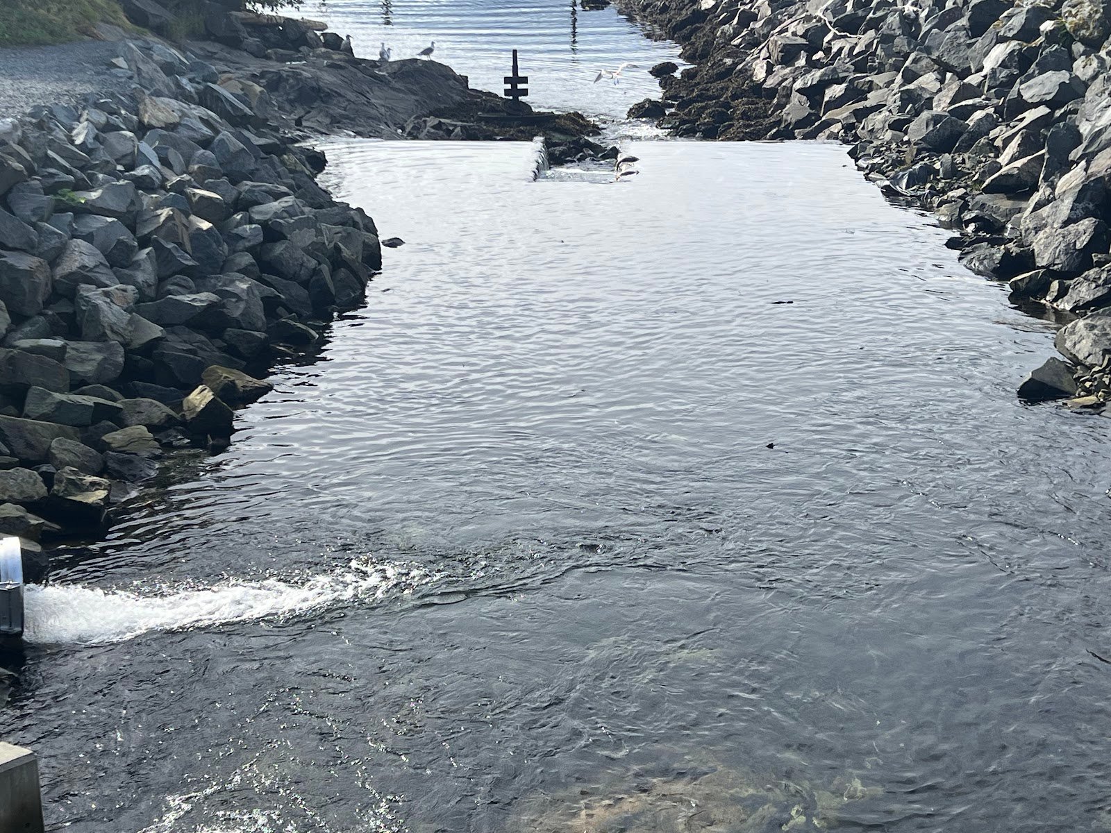 sitka-sound-science-center-2