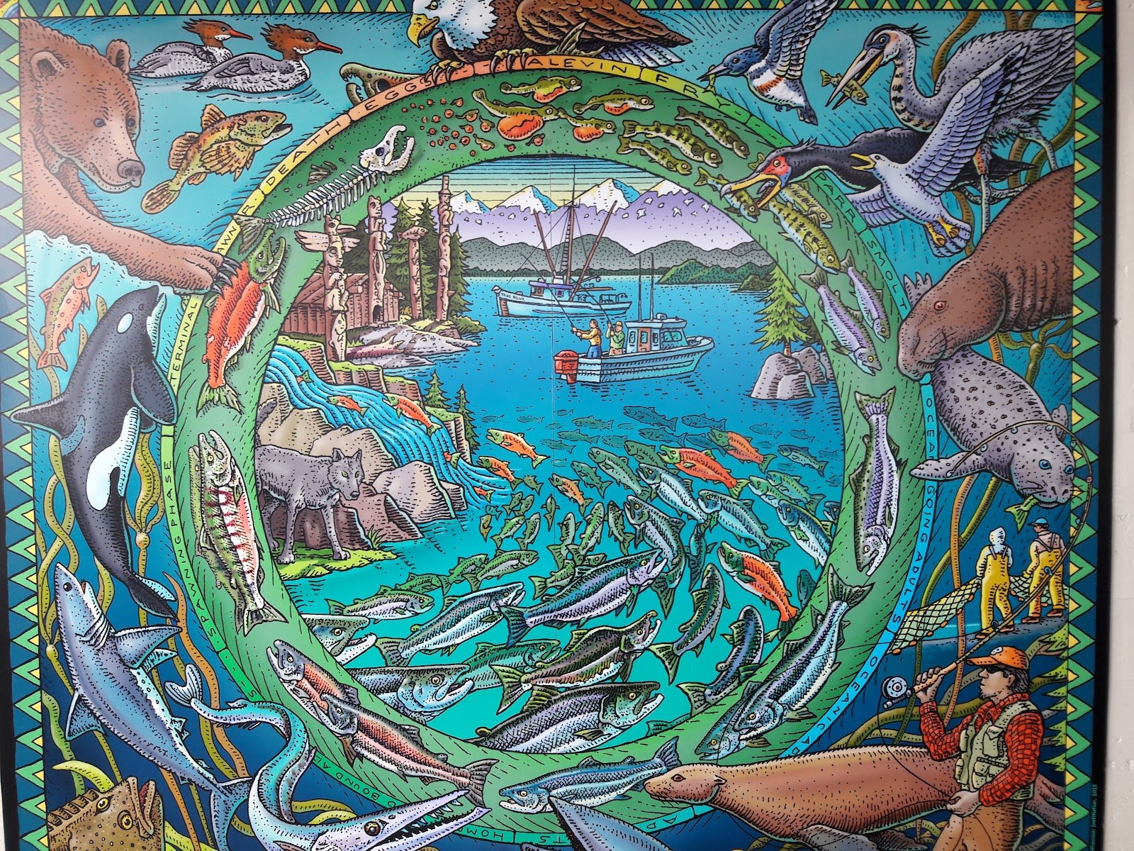 sitka-sound-science-center-4