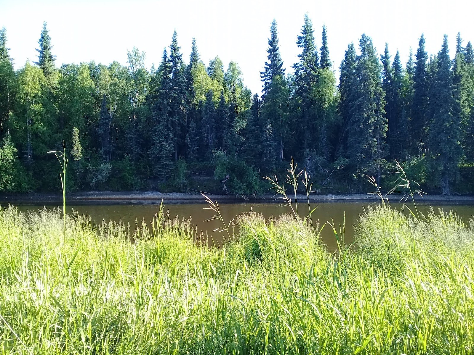 snedden-memorial-park-3