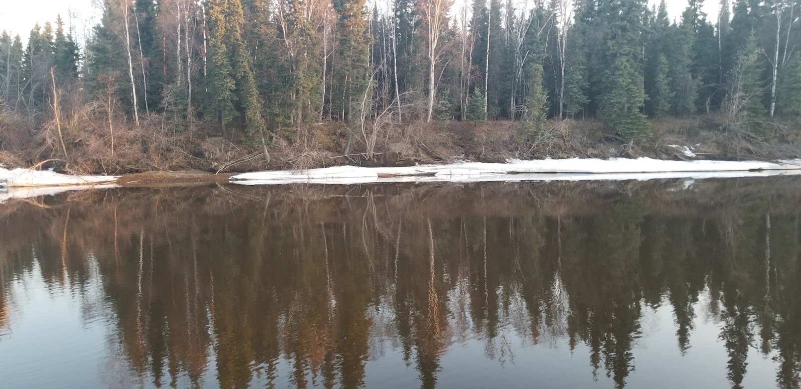 snedden-memorial-park-4