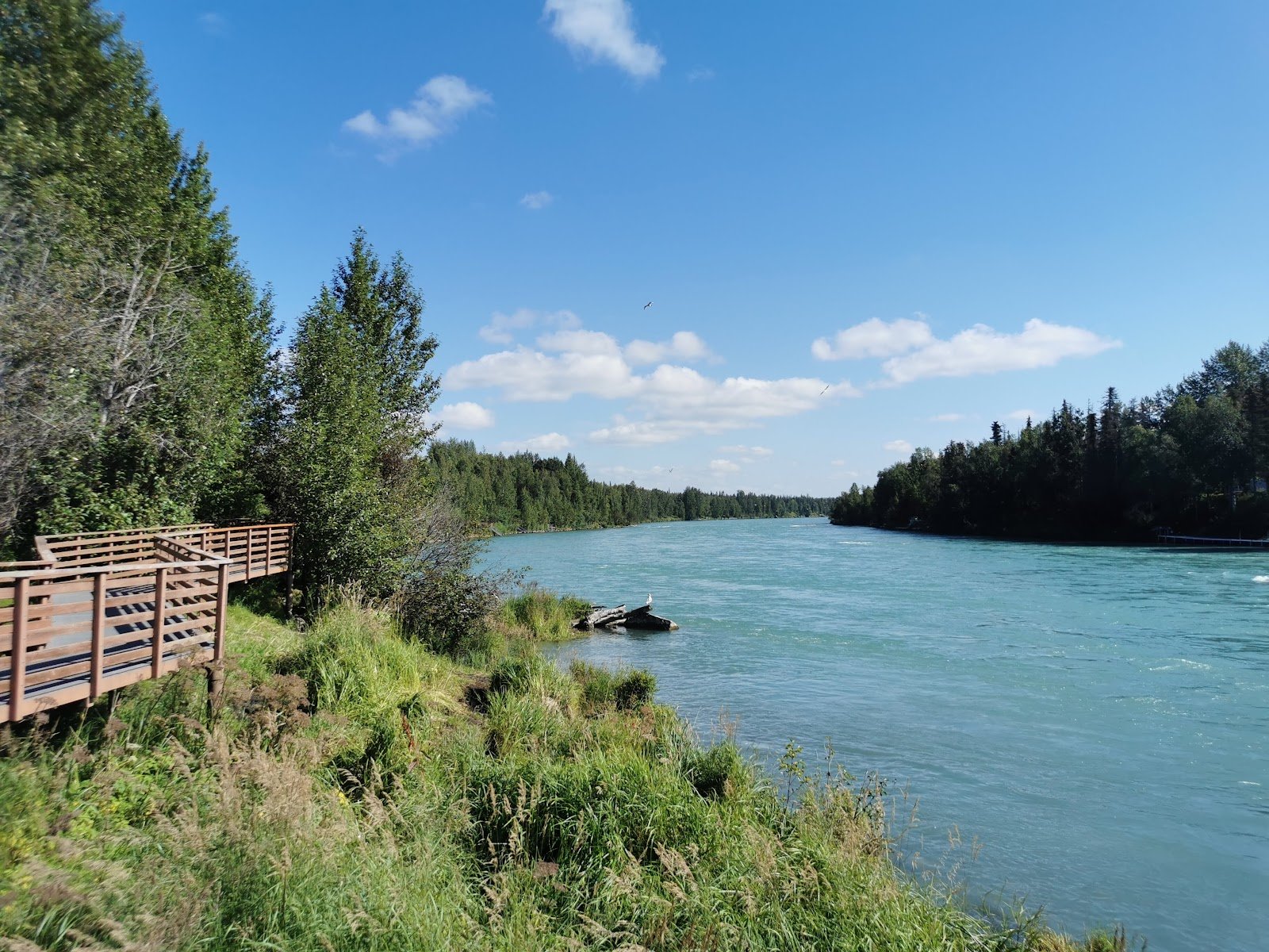 soldotna-creek-park-2