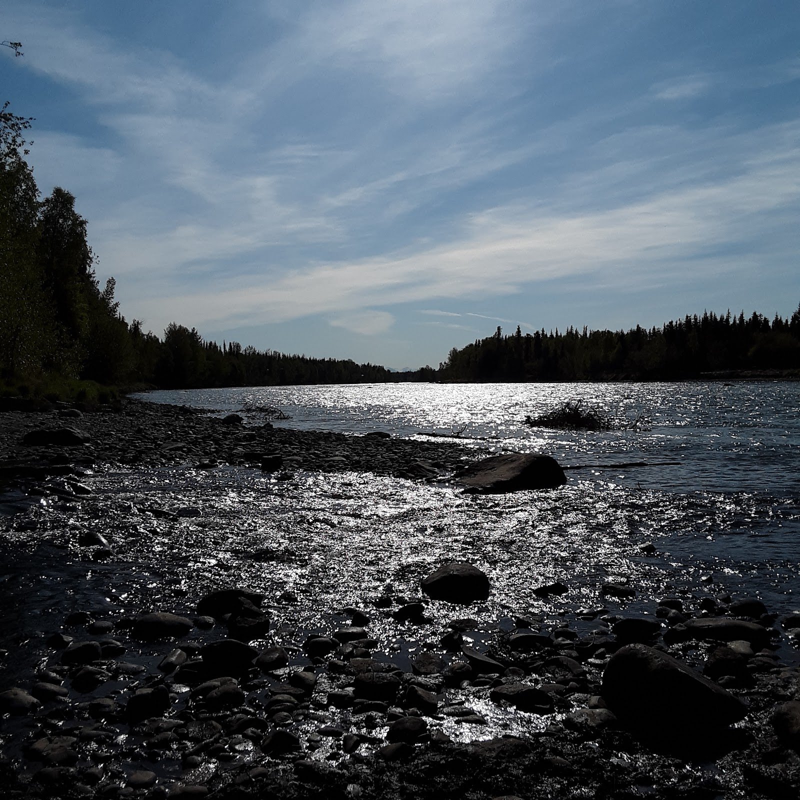 soldotna-creek-park-4