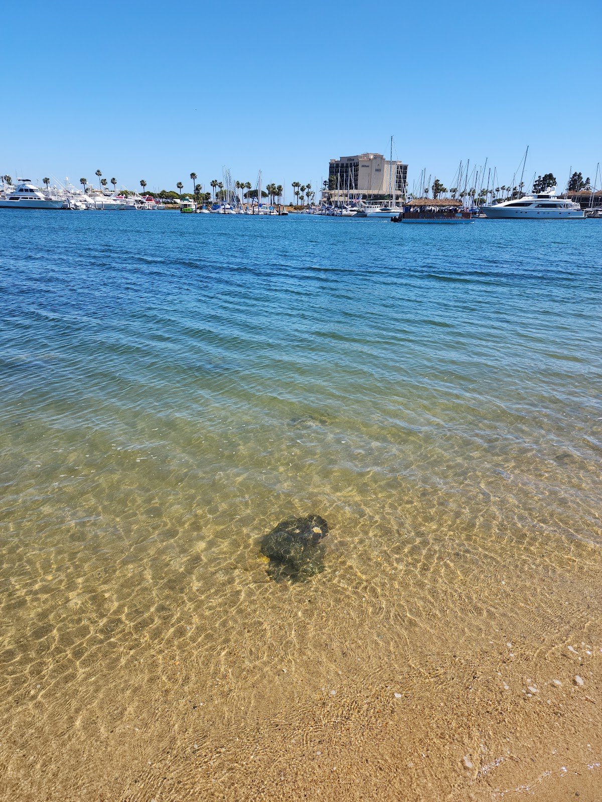 spanish-landing-playground-2