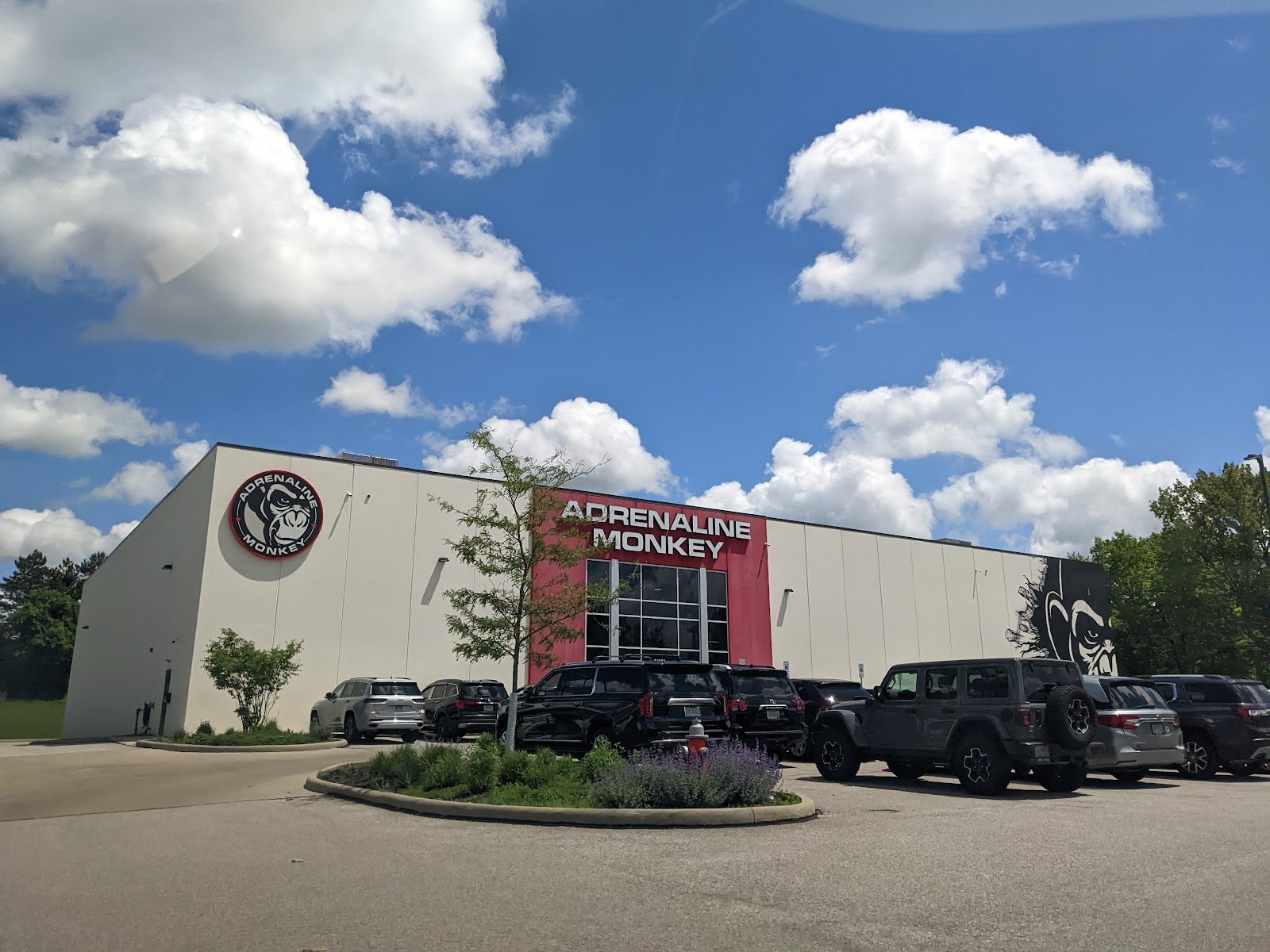 adrenaline-monkey-adventure-park-cleveland-4