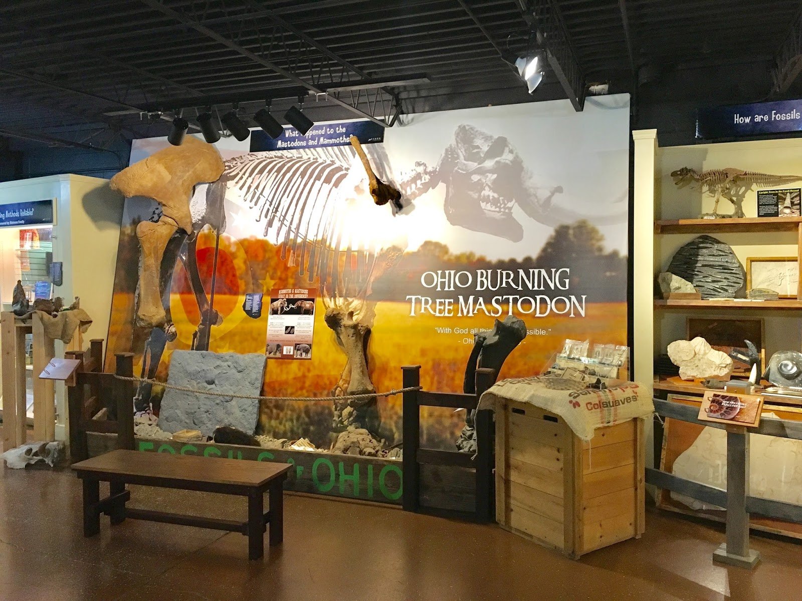 akron-fossils-science-center-1