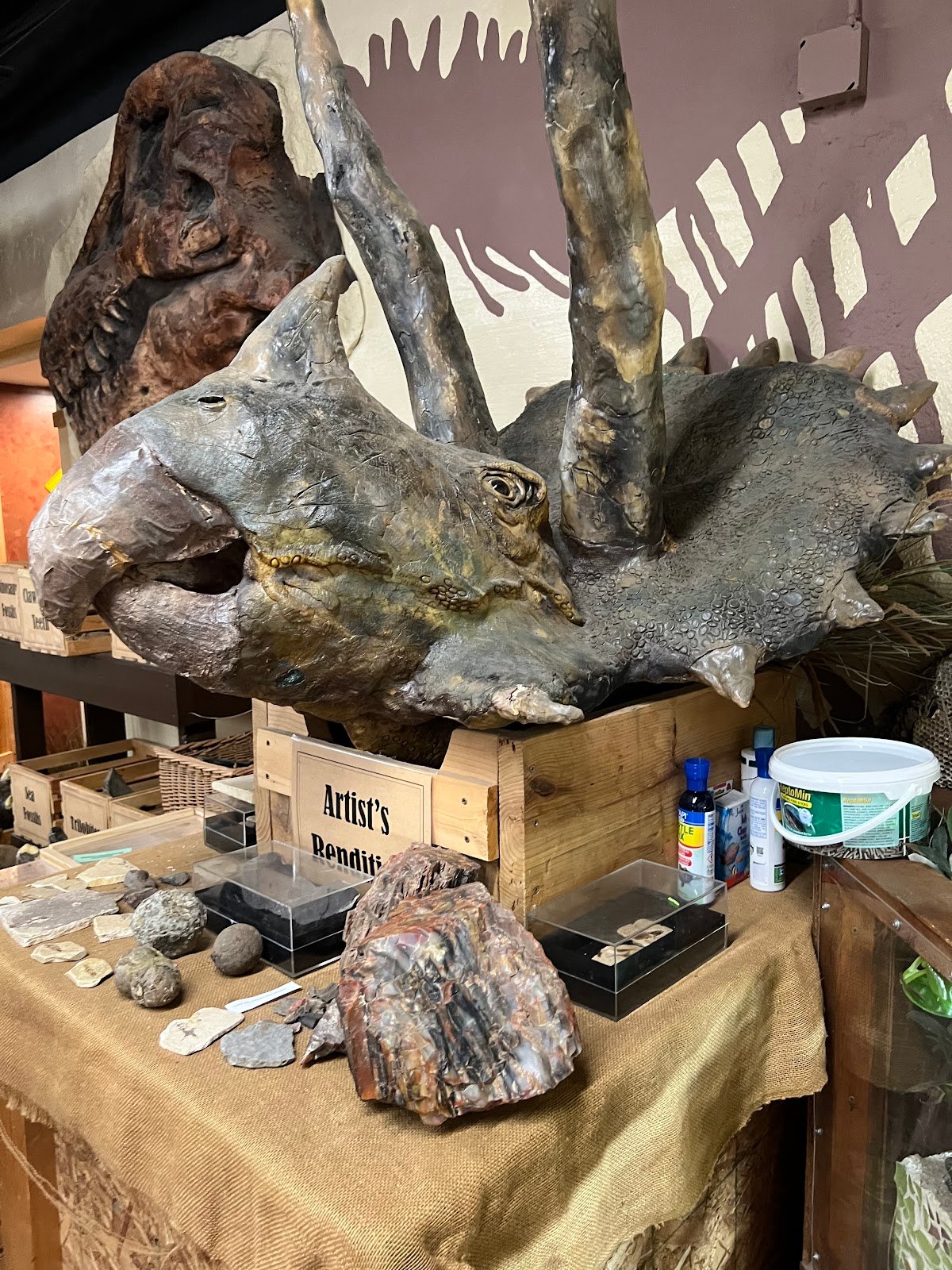 akron-fossils-science-center-2