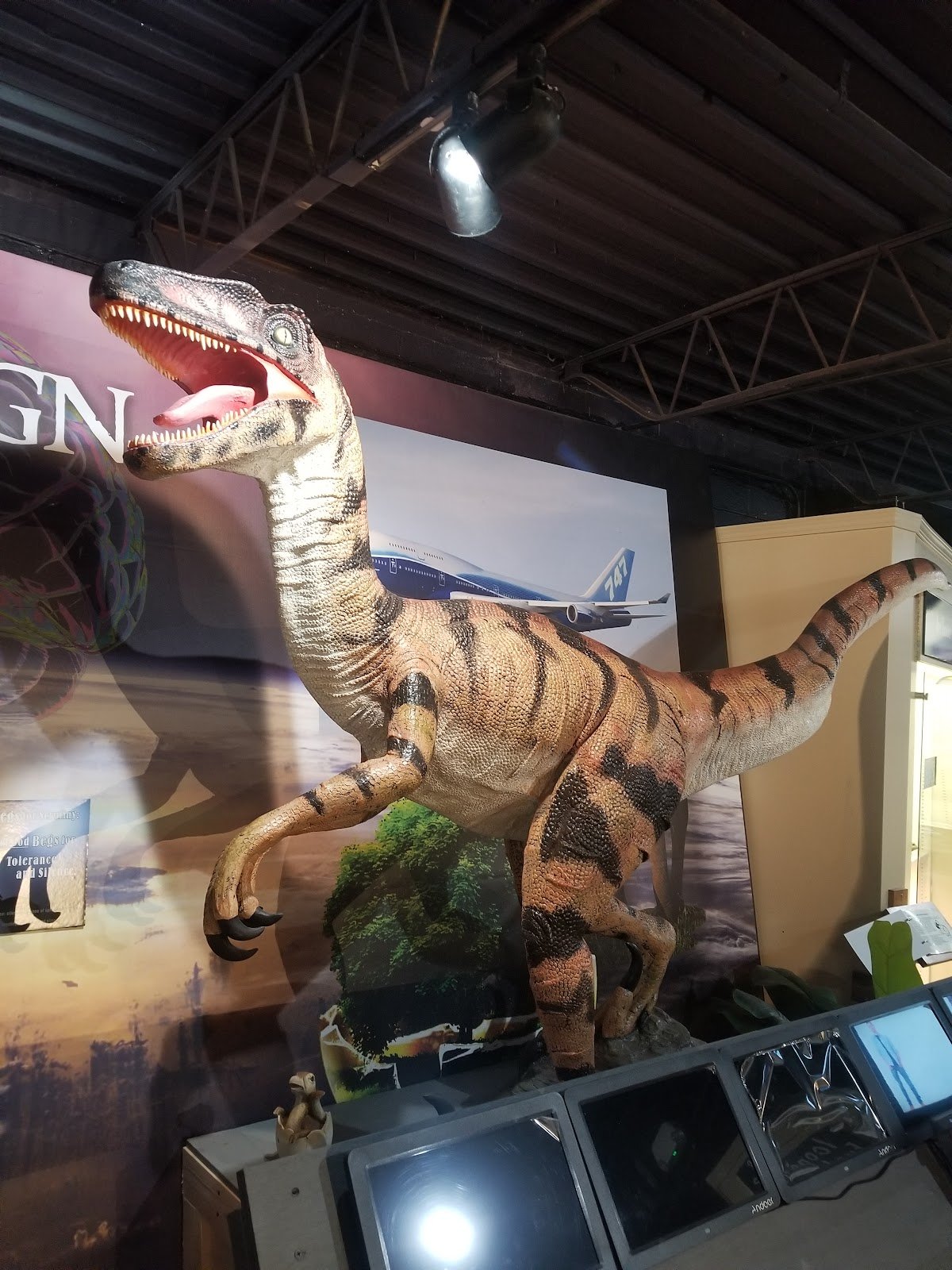 akron-fossils-science-center-3