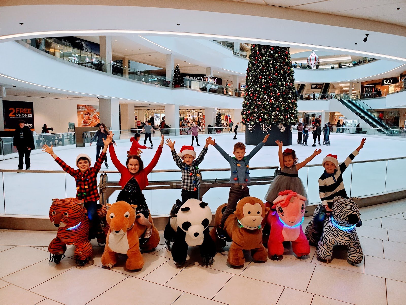 animal-rides-happy-rides-1