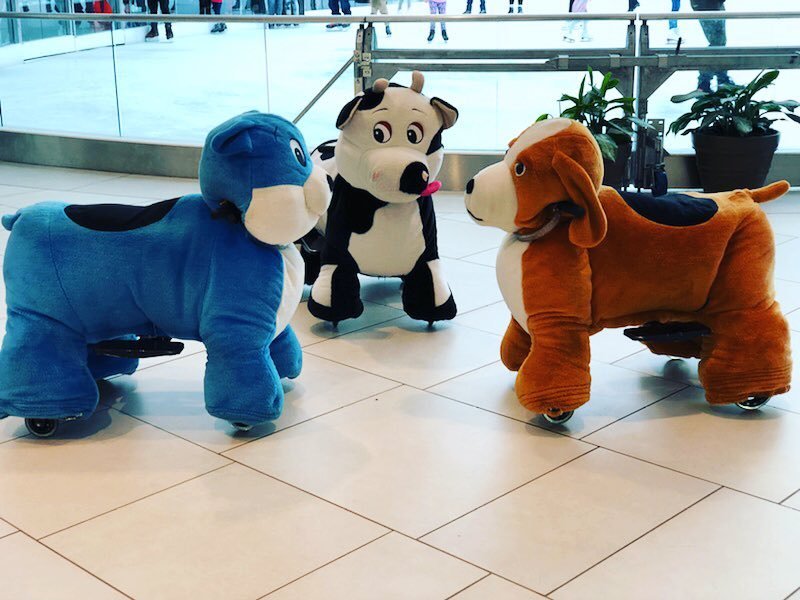 animal-rides-happy-rides-2