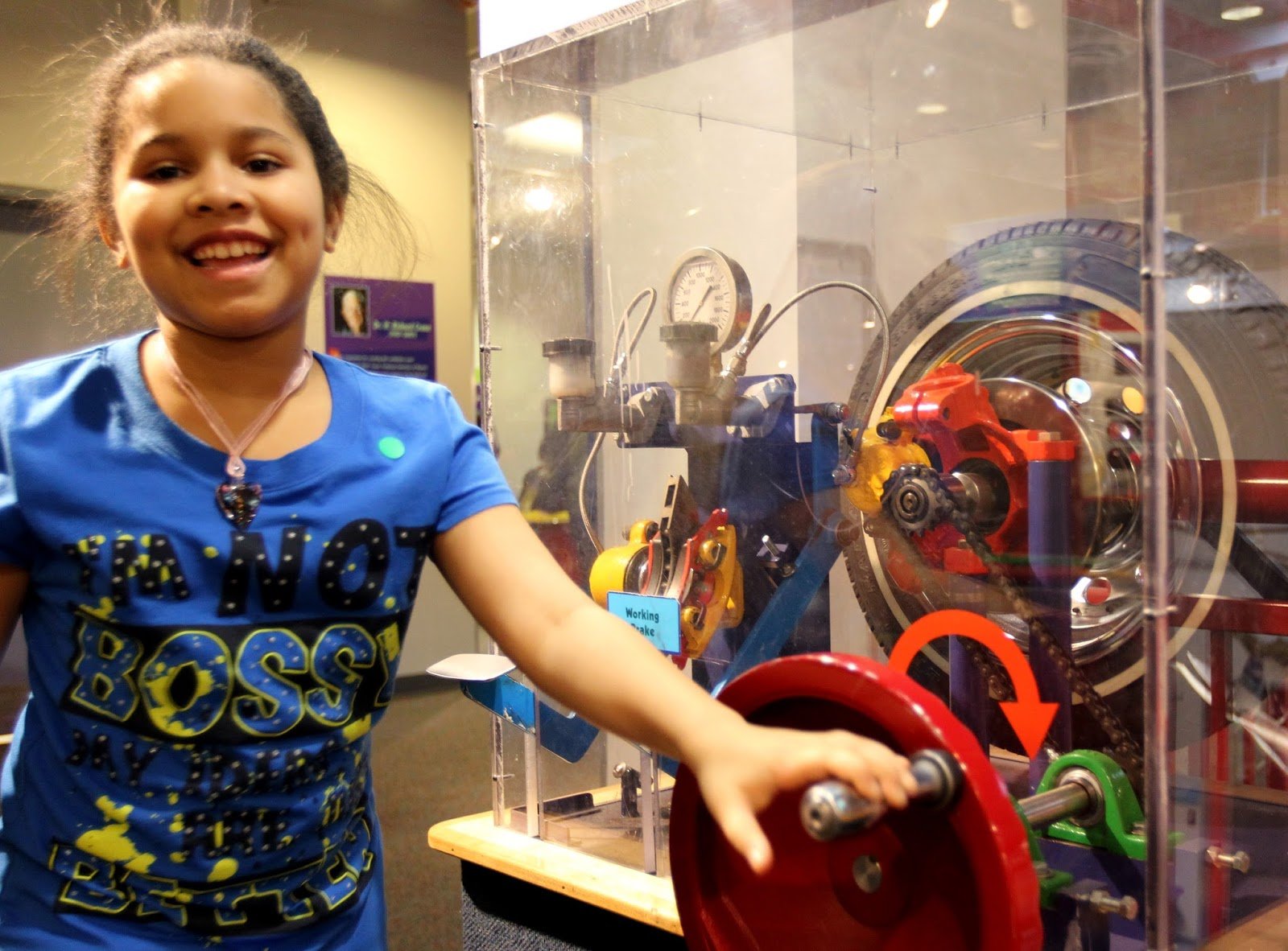ann-arbor-handson-museum-and-leslie-science-nature-center-1