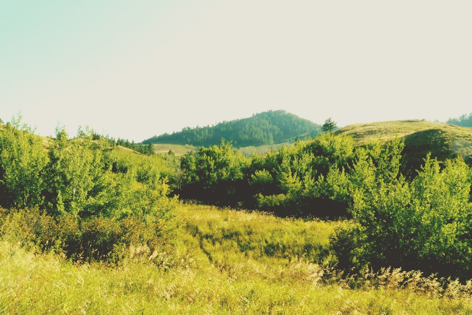 beaver-creek-park-3