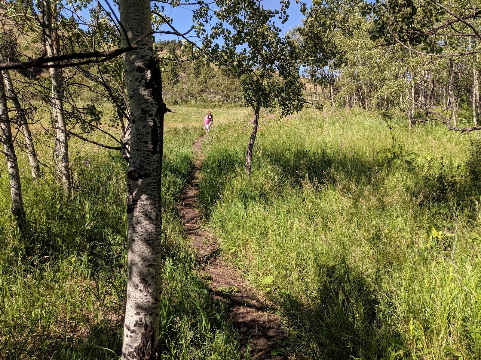 beaver-creek-park-4