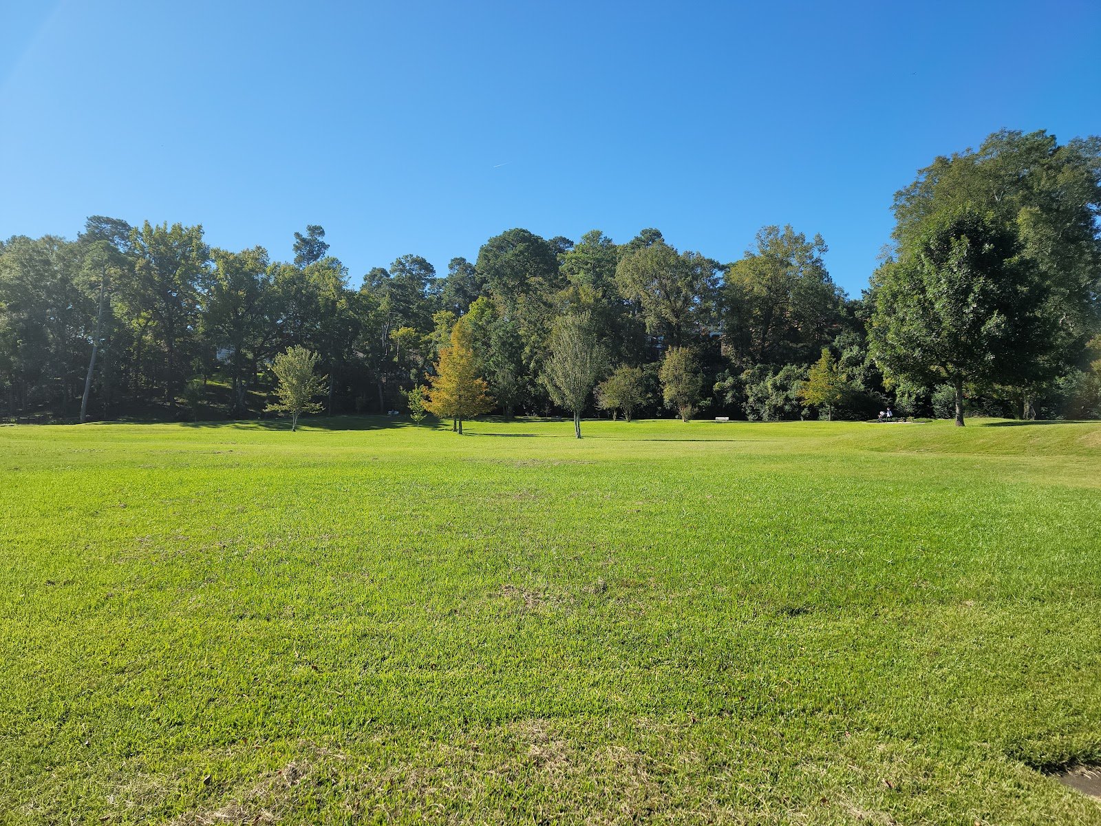 betty-virginia-park-3