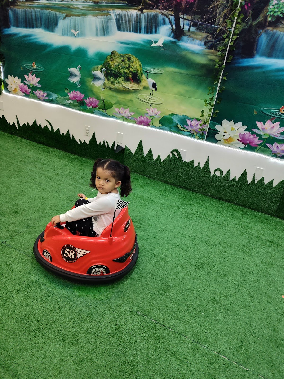 birthday-n-the-box-4