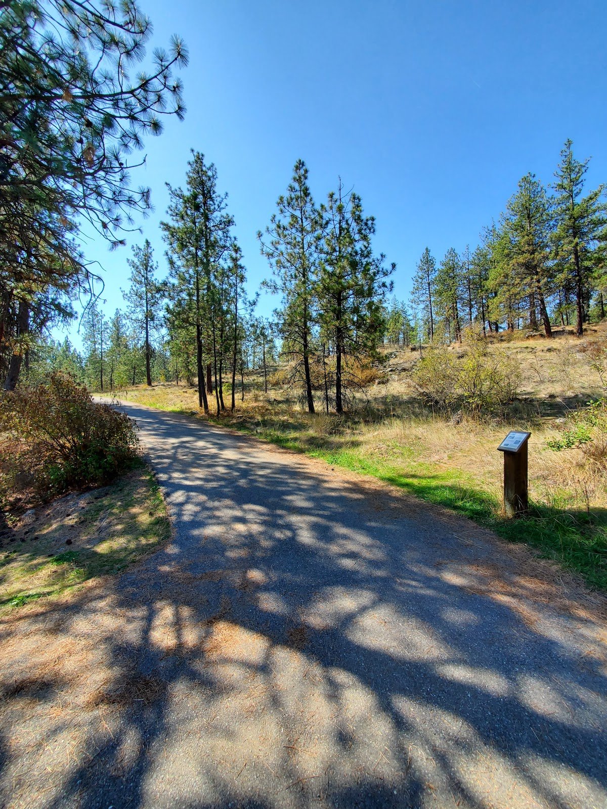 black-bay-park-2
