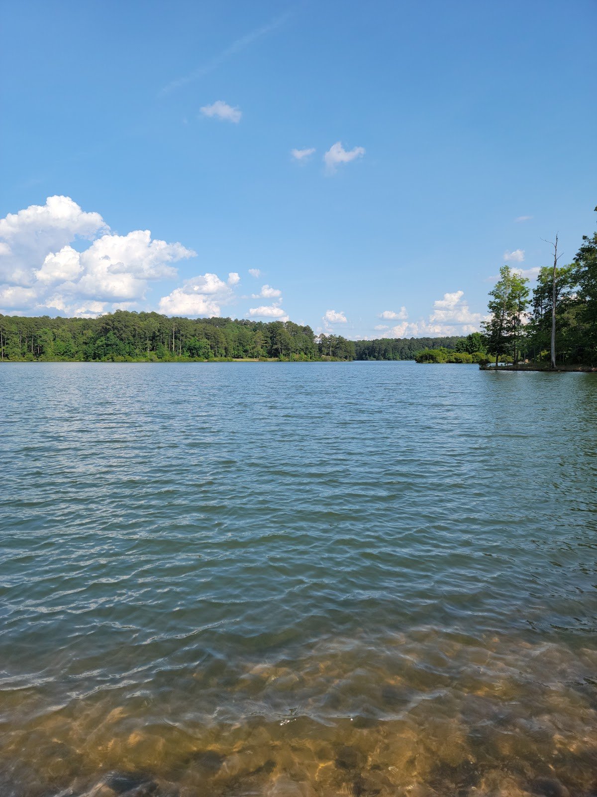 bonita-lakes-park-1