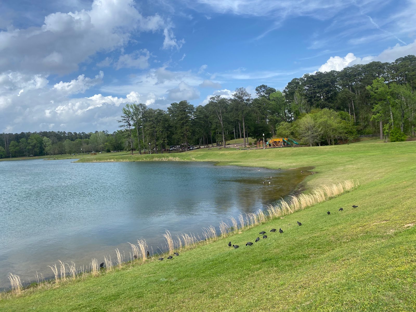 bonita-lakes-park-2