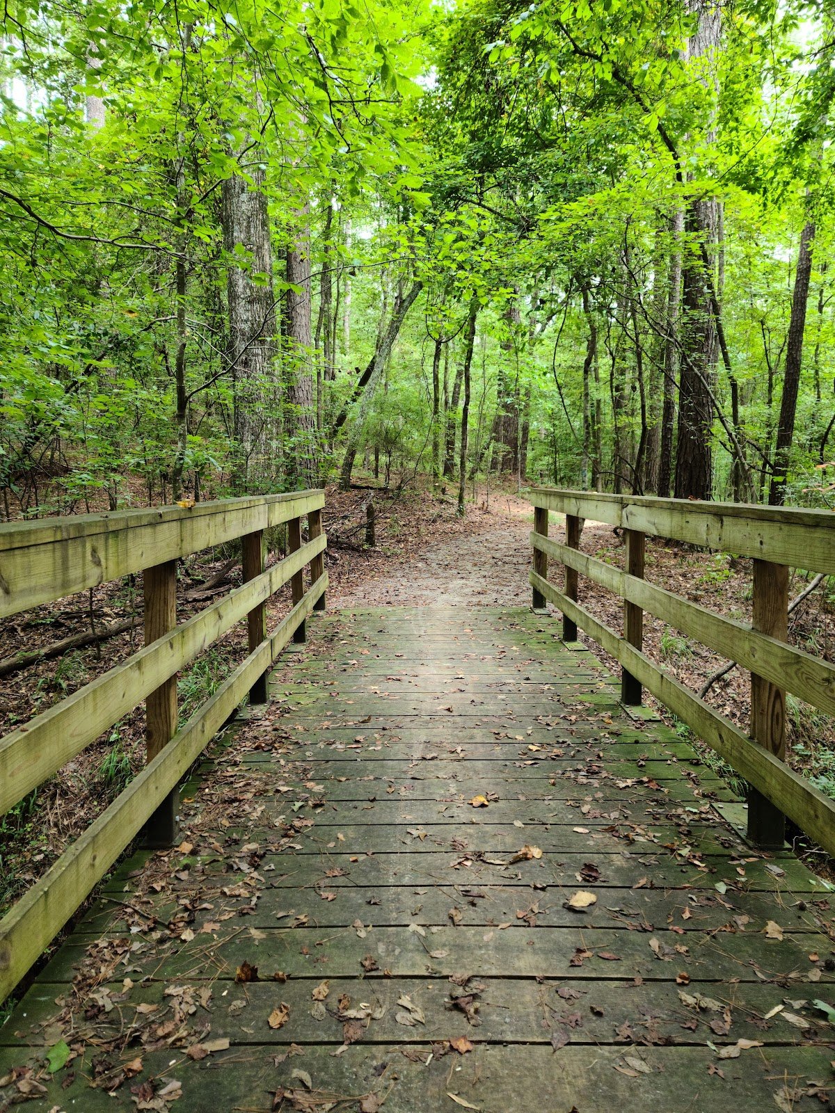 bonita-lakes-park-3