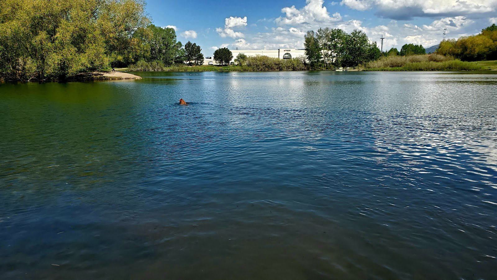 bozeman-pond-2