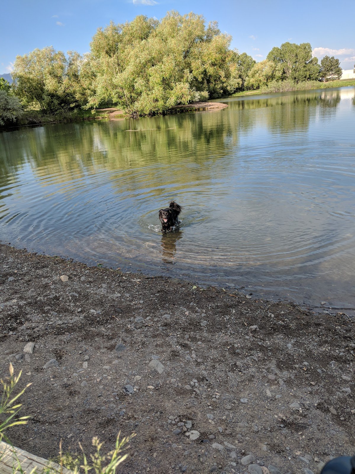 bozeman-pond-3