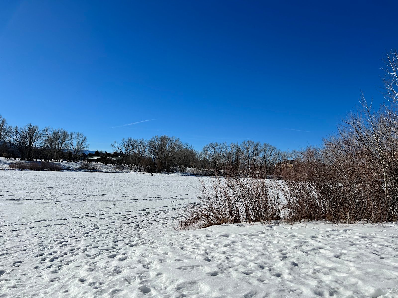 bozeman-pond-4