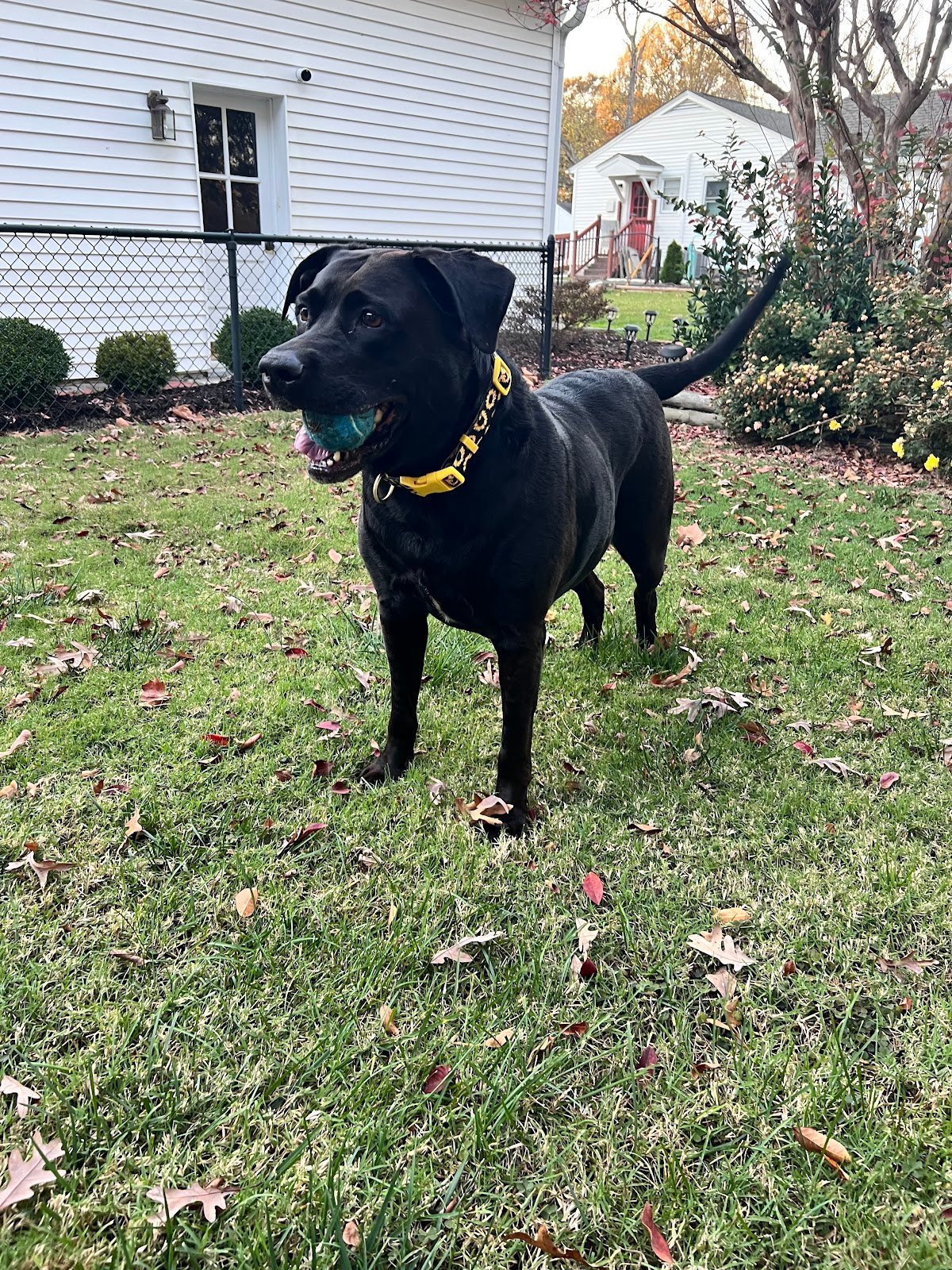 brandywine-valley-spca-georgetown-campus-3