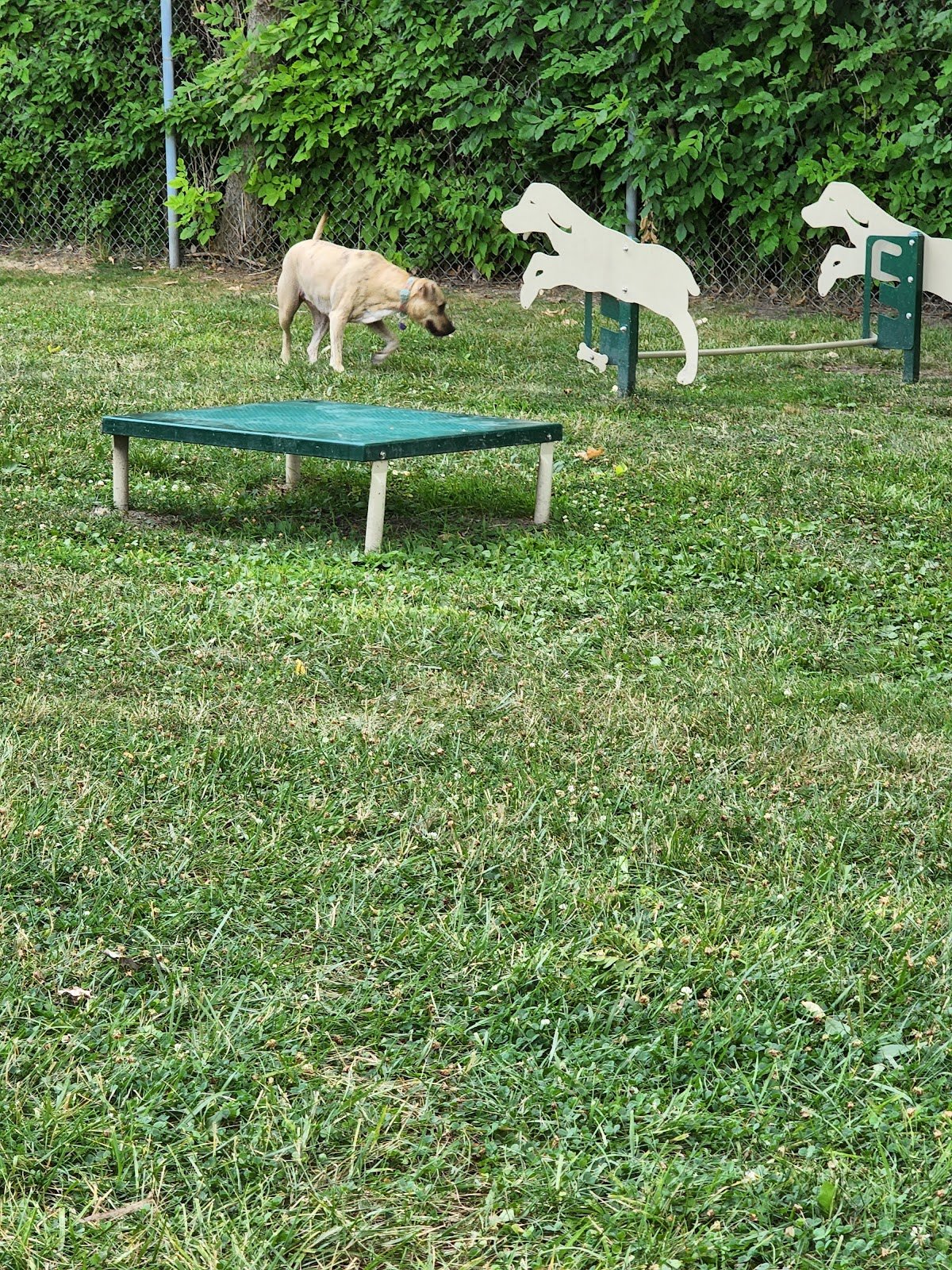 burdi-park-2