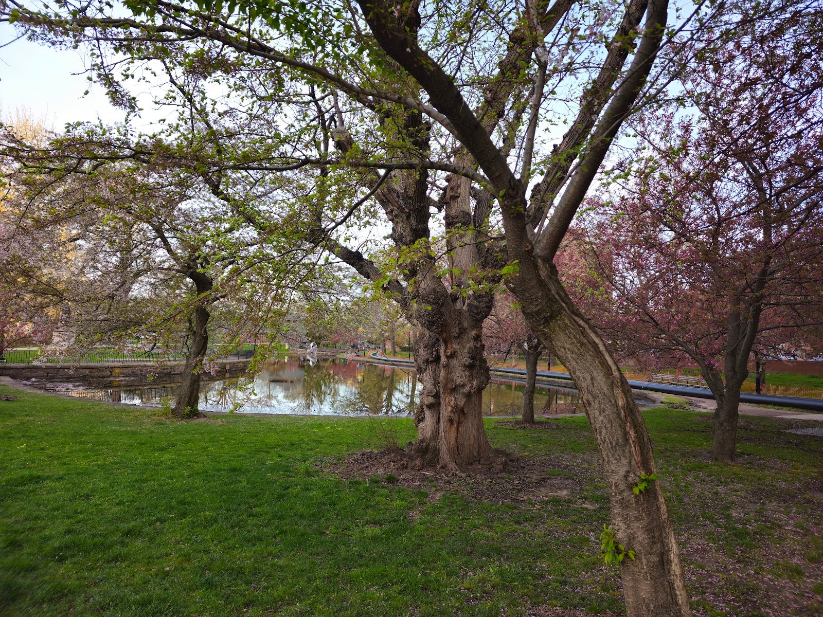 bushnell-park-4
